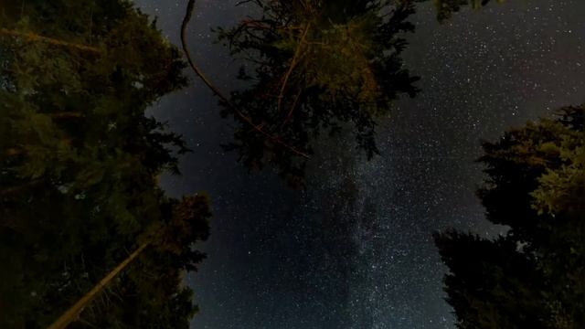 Как ПОЛЮБИТЬ СЕБЯ.  Как НАУЧИТСЯ ЛЮБИТЬ СЕБЯ