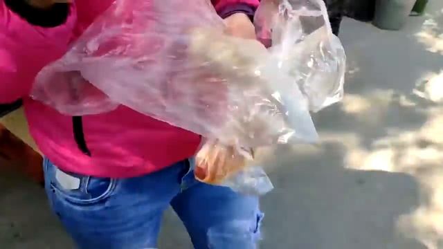 Отличная пекарня и РОБОТОТЕХНИКА в городе Березовский смотреть онлайн