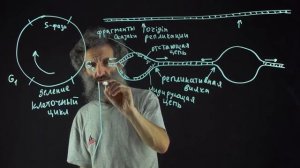 Лекция 55. Репликация ДНК