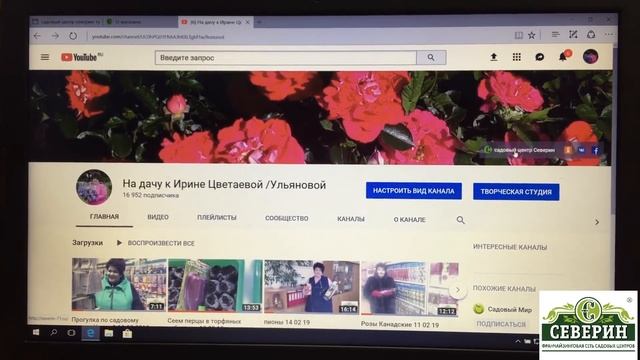 Как сделать заказ саженцев на сайте садового центра 