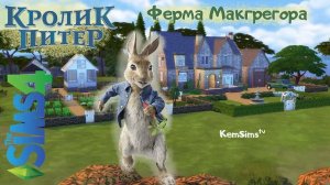 Sims 4 строительство | Кролик Питер | Ферма Макгрегора