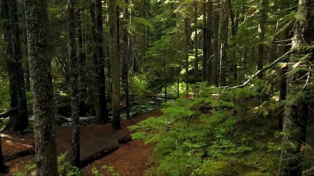 Как не срываться на людей и быть спокойным. Притча о гвоздях смотреть онлайн