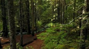 Как не срываться на людей и быть спокойным. Притча о гвоздях