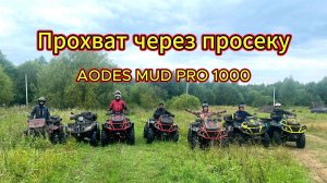 Пятничный прохват через просеку на квадроциклах AODES 1000 Mud Pro