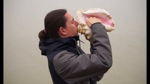 Конх, дункар, шанкха, поющая ракушка, горн из раковины моллюска, conch shell horn