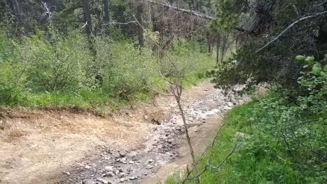 Nissan top of the world смотреть онлайн