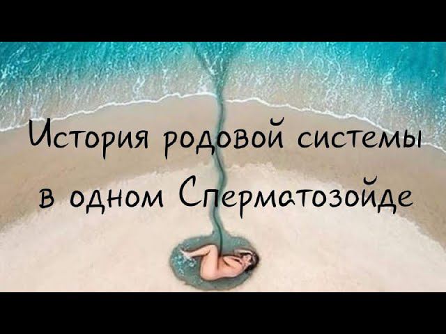 Родовые программы в Сперматозойде и Яйцеклетке