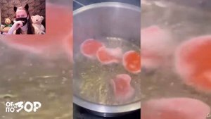 Меня СОЖРАЛА Раздражающая Семейка - Обзор На Позор / часть 3 / РЕАКЦИЯ НА САНТЕХНИКА