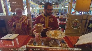 2020-12-13 LIVE Greek Orthodox Divine Liturgy: 11th Sunday of Luke