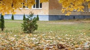 Осенний блюз! Н.Караченцев.с песней"Кленовый лист".Приятного просмотра. подписывайтесь @Tamrico