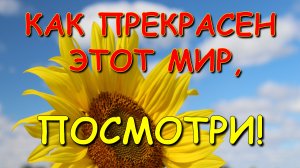 Доброе утро. Чудесного дня. Как прекрасен этот мир! Красивая музыка.