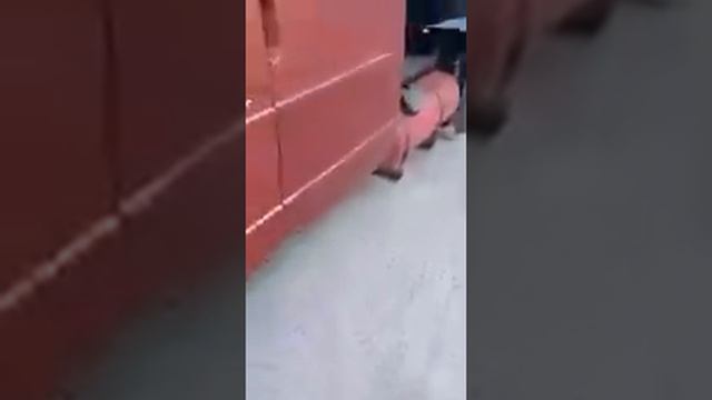 Дальнобойщик на газели . Категория Е . Контейнеровоз .(присутствует ненормативная лексика). 18+ смотреть онлайн