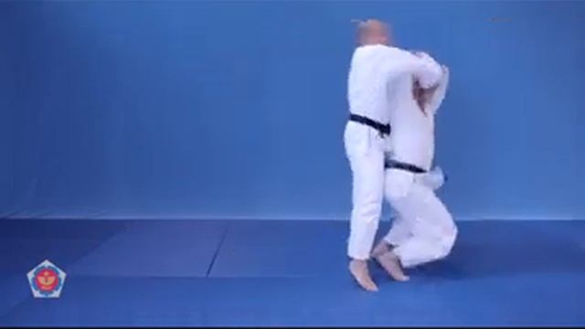 Seoi nage РґР·СЋРґРѕ