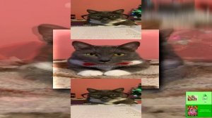 Scan ЕСЛИ БЫ КОТИКИ ХОДИЛИ В ШКОЛУ - НОВОГОДНИЕ ПОДАРКИ (YTPMV)