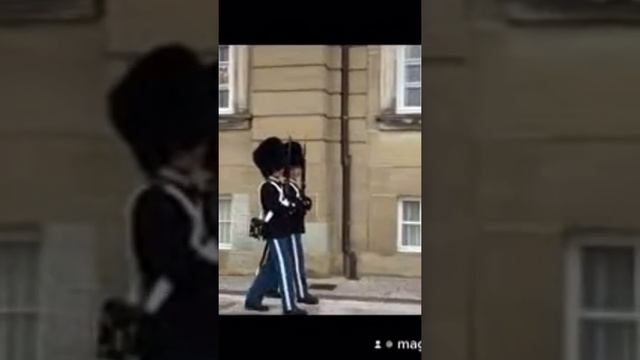 Denmark Copenhagen Palace Amalienborg Guard Дания Копенгаген Дворец Амалиенборг Гвардия