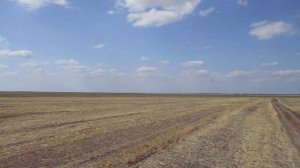 Опустевшее село Октябрьское, Энгельсский район (хутор Maienheim, АССР НП)