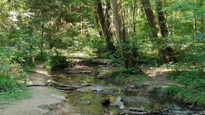 Повесть Виталия Полозова "На заимке" продолжение, часть 4, читает автор.