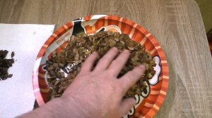 Щепа дуба (Щепсы из балканского дуба)  Подготовка к настаиванию