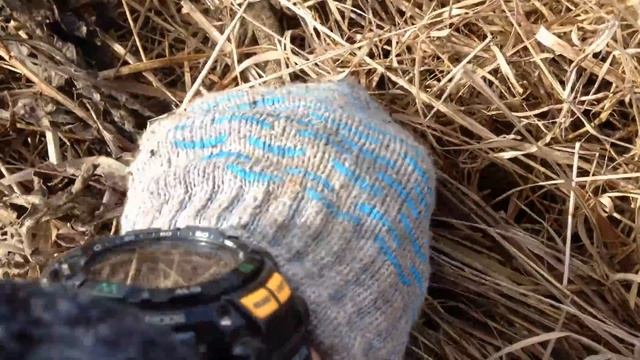 Коп 2. Заброшенный огород. смотреть онлайн