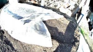 Получение Биогумуса без компостных червей. Применение Биогумуса на садовом участке