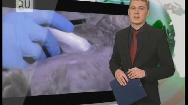 Новости KURGAN.RU от 26 Февраля 2018 года смотреть онлайн