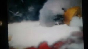 Запрещёная реклама мороженого Экзо