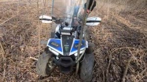 детские квадроциклы Motax grizlik 125   Motoland 110 #прокатились лес поле горки# паша дима  6 лет