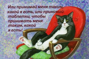 Черный кот.  Валерий Сюткин