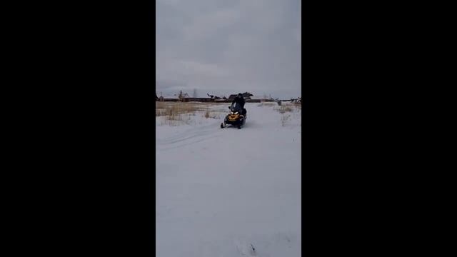 снегоход покатушки, снегоход BRP TUNDRA WT550, смотреть онлайн