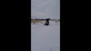 снегоход покатушки, снегоход BRP TUNDRA WT550,