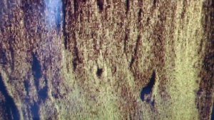 Humminbird Mega 360 Si, 360... Меняем сайдскан на круговой обзор