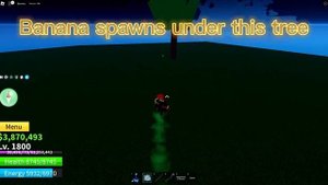 Observation/ Instinct Haki V2 Guide on Blox Fruits 2023 || Hungry Man Quest & Citizen Quest||