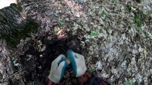 МЕГА КОП С АРТЕФАКТАМИ, РАРИТЕТАМИ И СЕРЕБРОМ!!