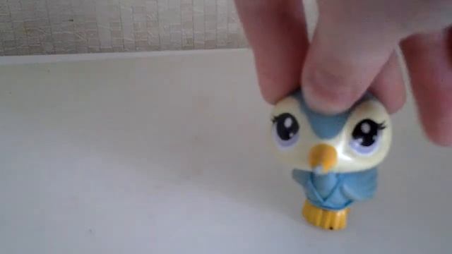 Немного о попугаях неразлучниках смотреть онлайн