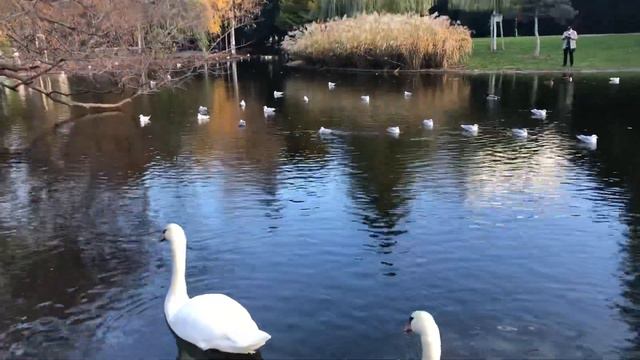 Дары природы !! смотреть онлайн