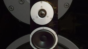 dynaudio Excite x34