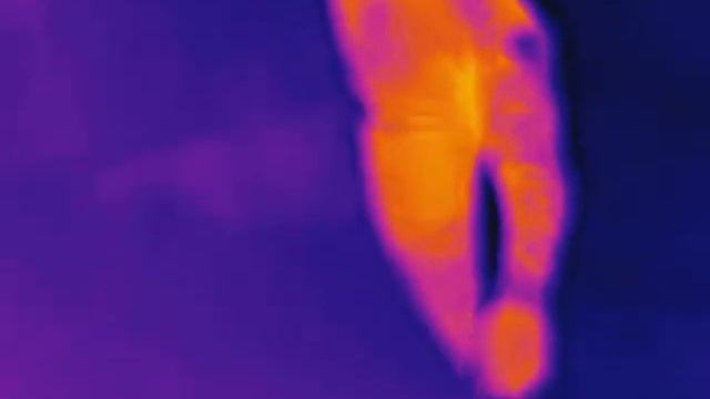 Код объявления на Авито - 3030828048 смотреть онлайн