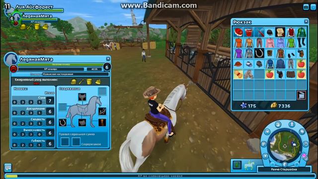 ОБЗОР НА НОВЫЙ НАБОР!💜/ОБНОВЛЕНИЕ НА НЕДОУЗДКИ/УЧУСЬ ВОДИТЬ ЗА ПОВОДЬЯ!😀/ЛЕТСПЛЕЙ SSO смотреть онлайн