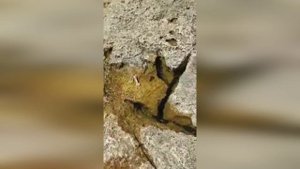 Морской эксперимент