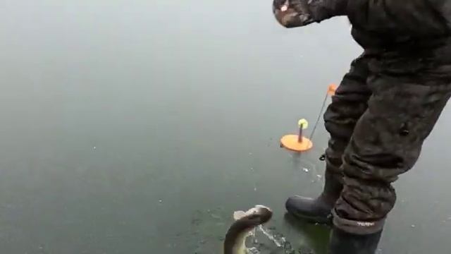 Первый лёд 15 декабря 2021 года. Хлевенский район смотреть онлайн