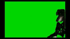 Cartoon dog green screen