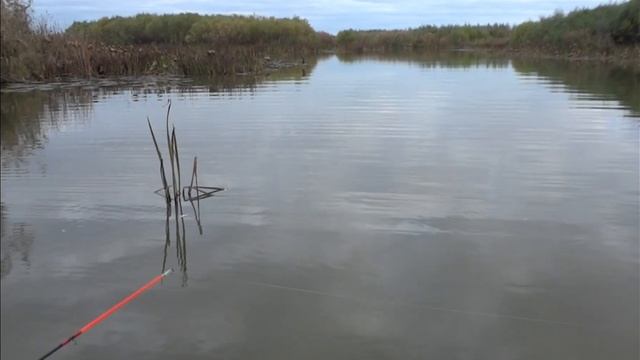 РЫБАЛКА в Тишково Астраханская область смотреть онлайн