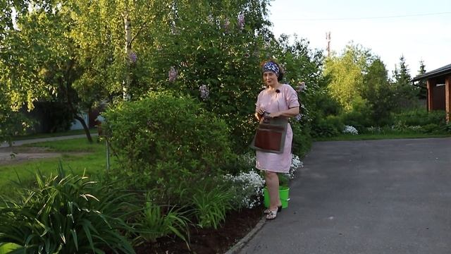 Обрезка Форзиции I Обрезка Сирени смотреть онлайн