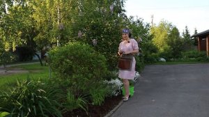 Обрезка Форзиции I Обрезка Сирени