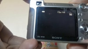 SONY DSC-W100