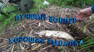 Щука на воблер и незацепляйку!