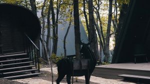 V Les Aframe   Коттеджи для аренды класса КОМФОРТ+