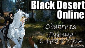 Black Desert Online - Проходим сюжет, Одиллита, Фарм лучница с нуля 2024
