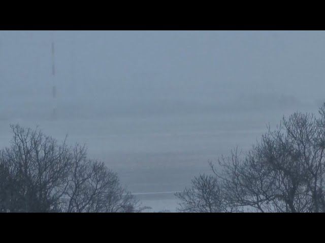 ГЕЛЕНДЖИК. МЕТЕЛЬ, СНЕГ, МОРОЗ. АНОМАЛЬНАЯ ПОГОДА ПРИШЛА НА ЮГ! 7.02.2023