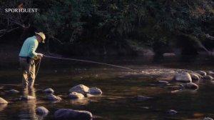 Sight Casting To Huge Golden Dorado At Agua Negra Lodge